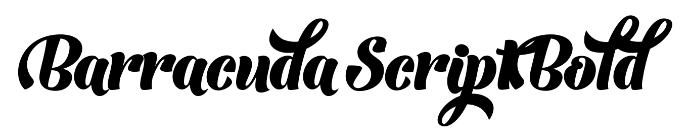 Barracuda Script Bold